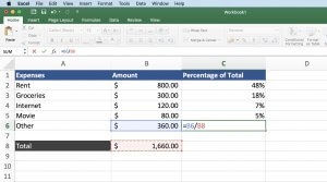 Formula for Percentage of Total in Excel - Learn Microsoft Excel